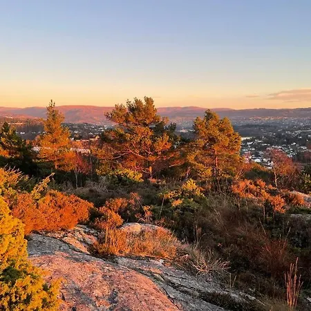 With Sea View! Διαμέρισμα Μπέργκεν