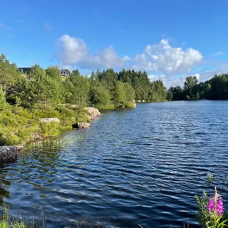 With Sea View! Μπέργκεν