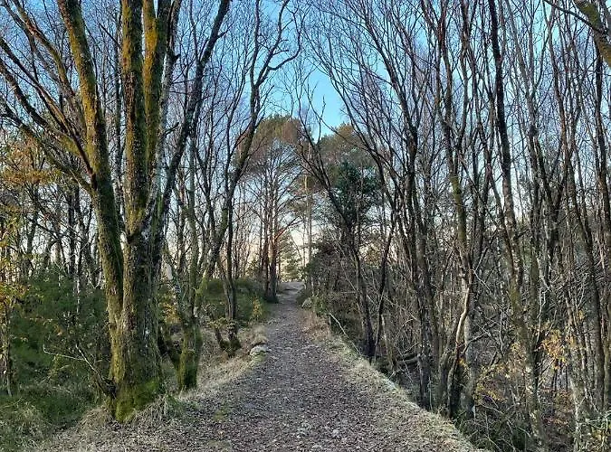 Apartman With Sea View!