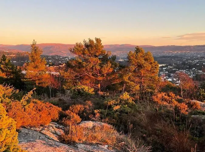 With Sea View! Appartement Bergen